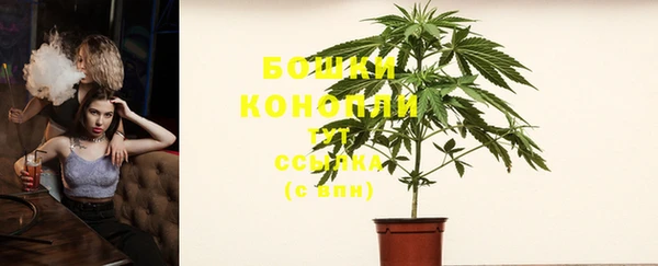 ПСИЛОЦИБИНОВЫЕ ГРИБЫ Балабаново