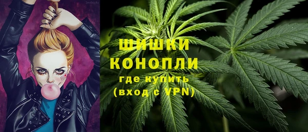СК Сосновый Бор