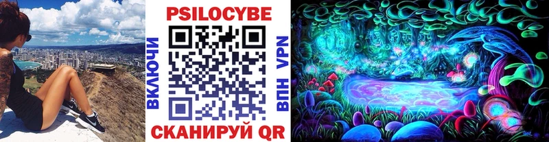 shop официальный сайт  Озёры  Псилоцибиновые грибы прущие грибы 